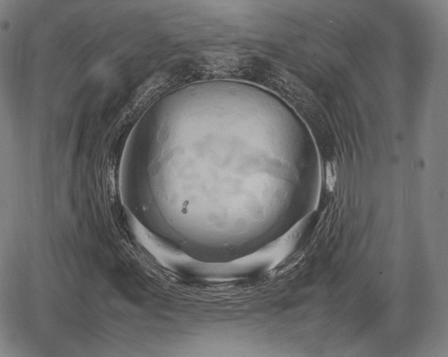 X0000064751155200602131219