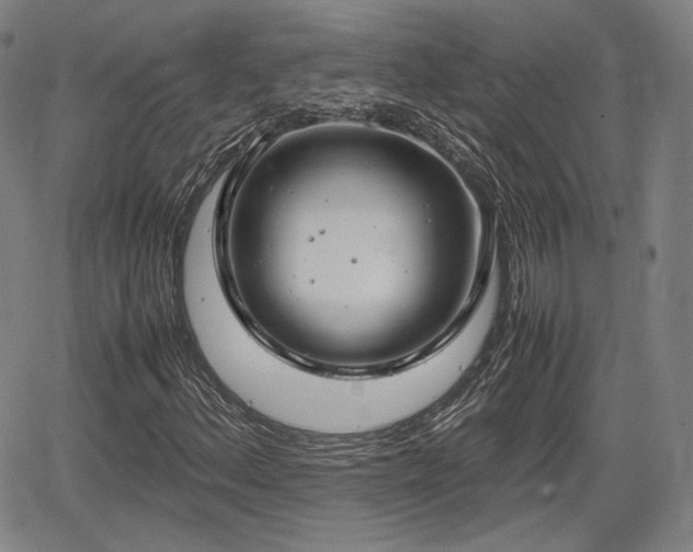 X0000064751156200602131219