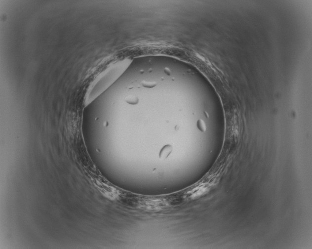 X0000064751157200602131219