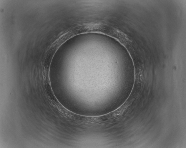 X0000064751158200602131219