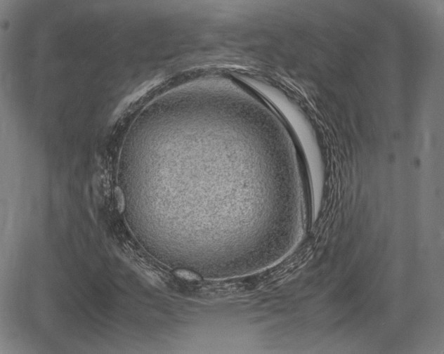 X0000064751159200602131219