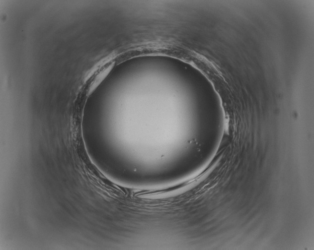 X0000064751160200602131219