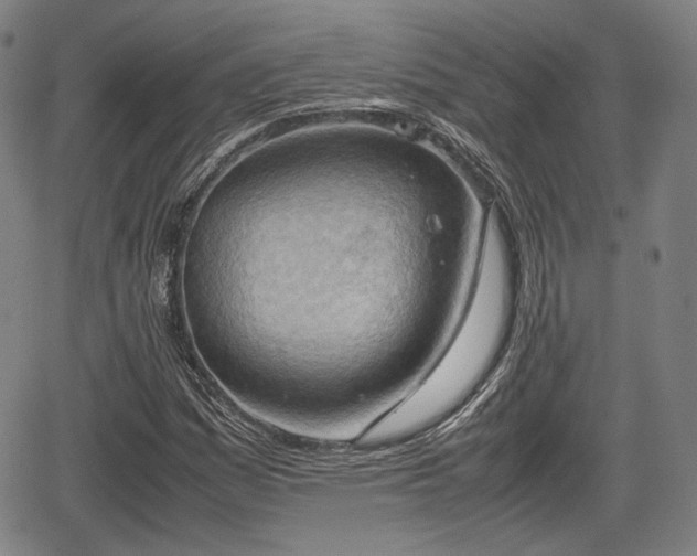 X0000064751161200602131219