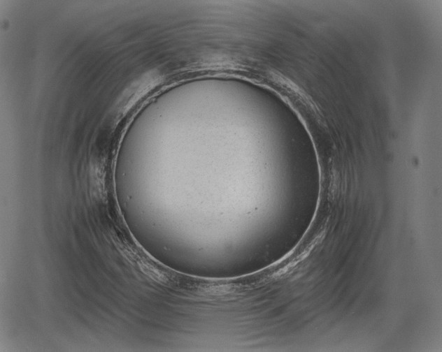 X0000064751162200602131219