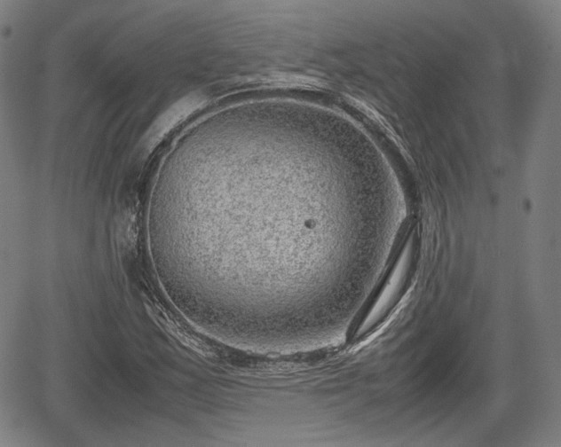 X0000064751163200602131219