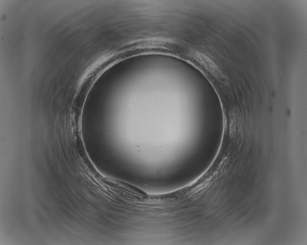 X0000064751164200602131219