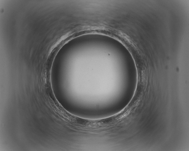 X0000064751165200602131219