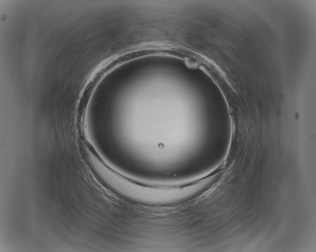 X0000064751168200602131219