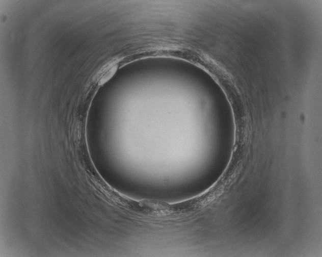 X0000064751169200602131219