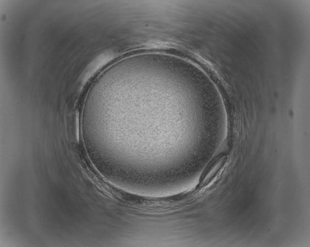 X0000064751171200602131219