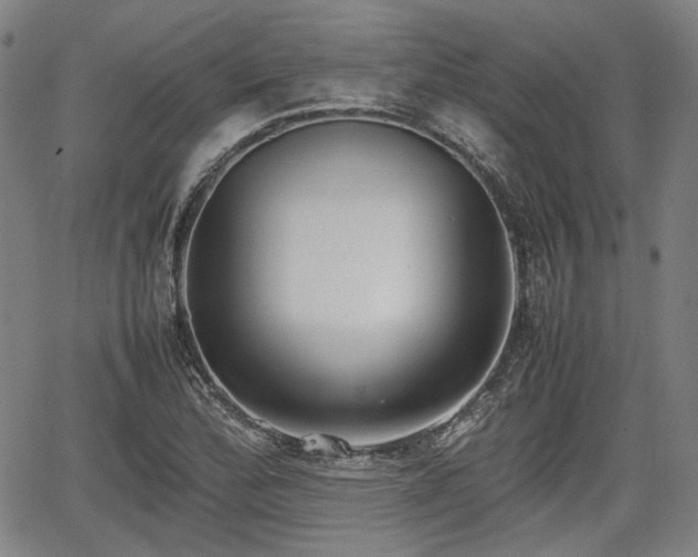 X0000064751172200602131219