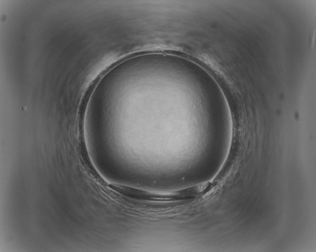 X0000064751173200602131219