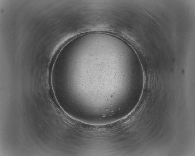 X0000064751174200602131219