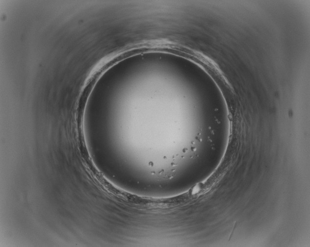 X0000064751176200602131219