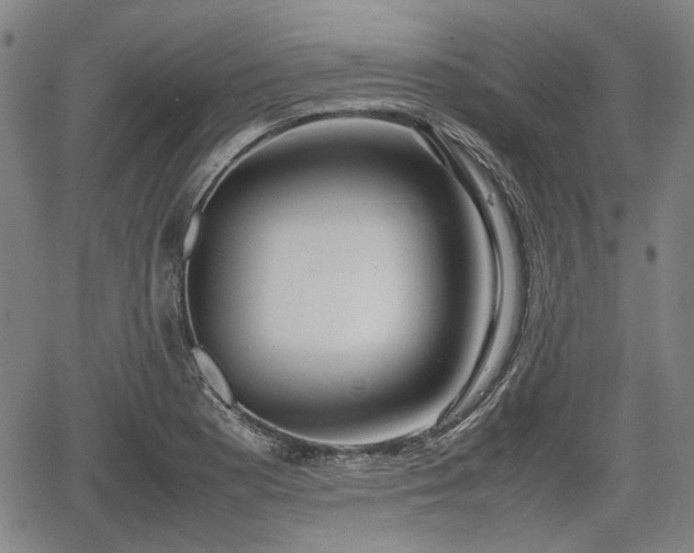 X0000064751177200602131219