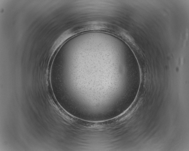 X0000064751178200602131219