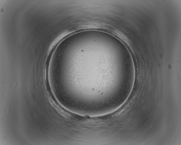 X0000064751179200602131219