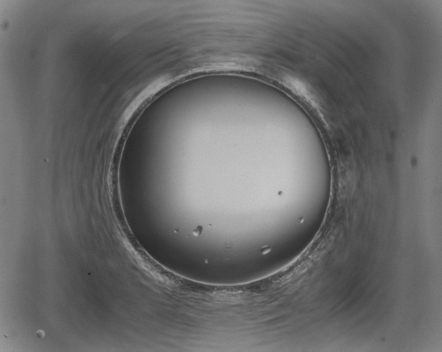 X0000064751181200602131219