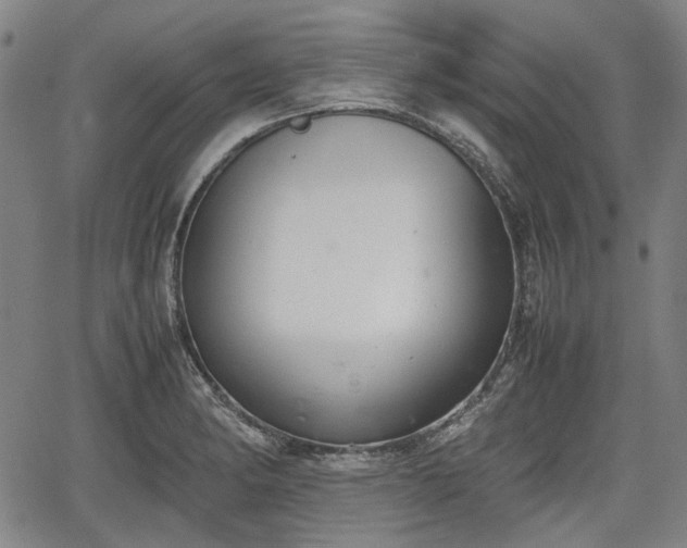 X0000064751182200602131219