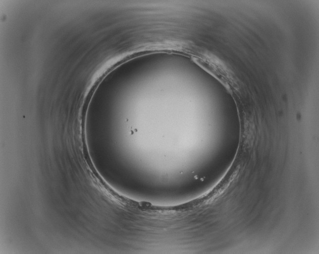 X0000064751184200602131219