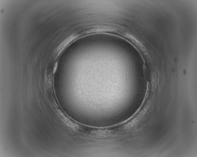 X0000064751185200602131219