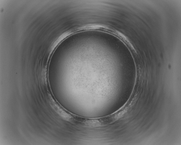 X0000064751186200602131219