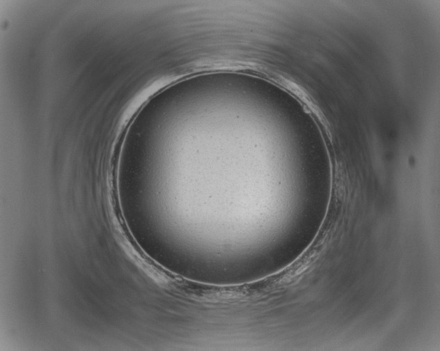 X0000064751187200602131219