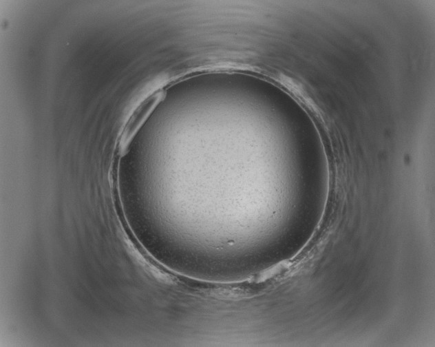 X0000064751189200602131219