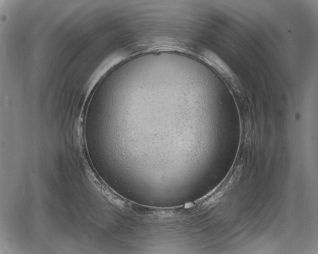 X0000064751190200602131219