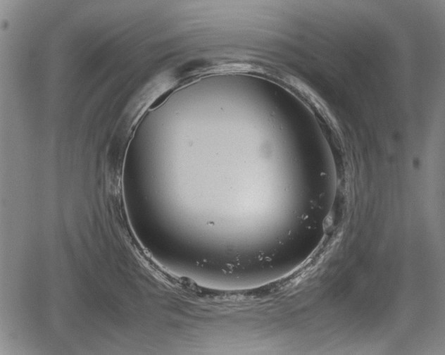 X0000064751193200602131219