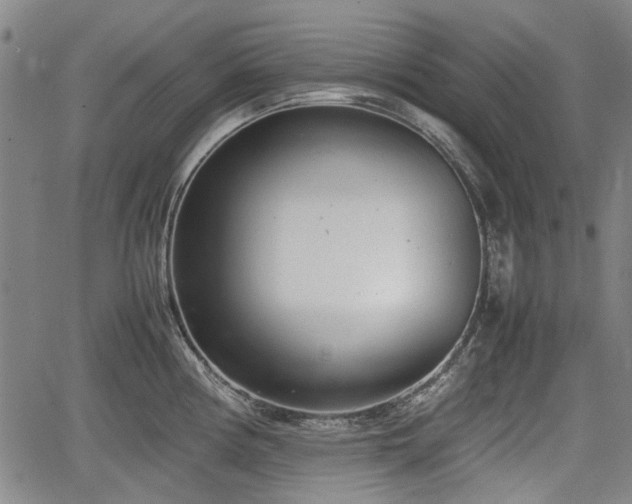 X0000064751194200602131219