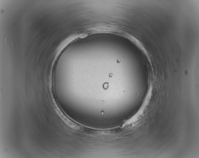 X0000064751195200602131219