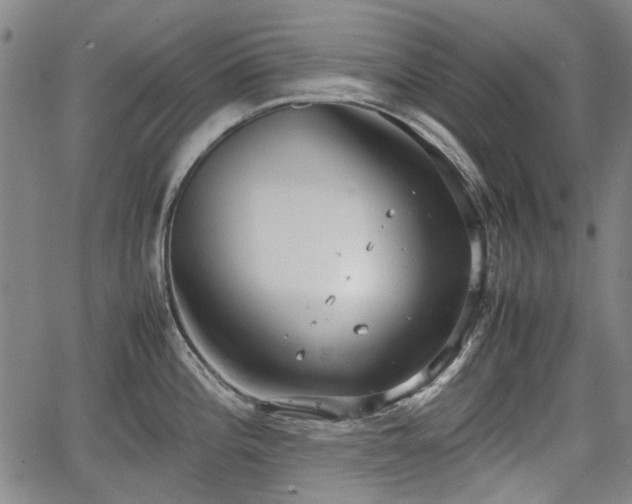 X0000064751196200602131219