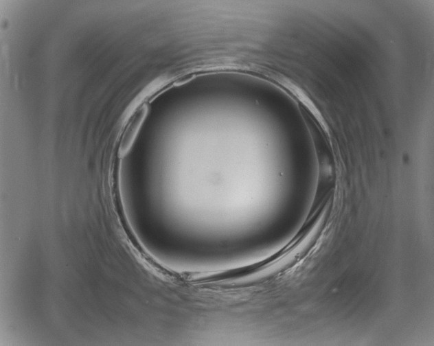 X0000064751197200602131219