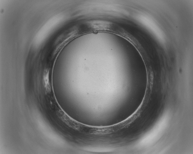 X0000064751198200602131219