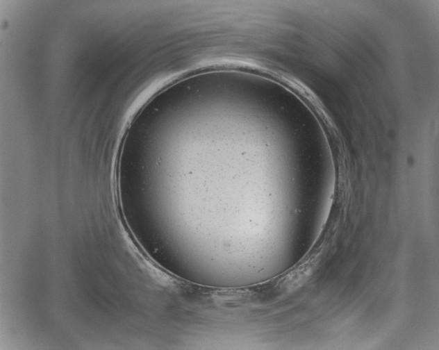 X0000064751199200602131219