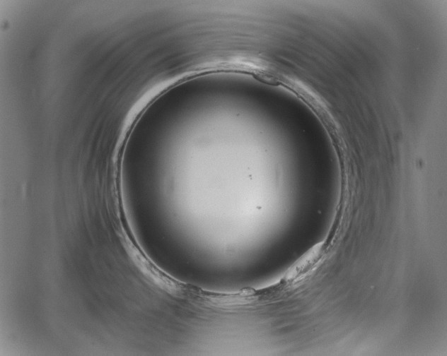 X0000064751200200602131218