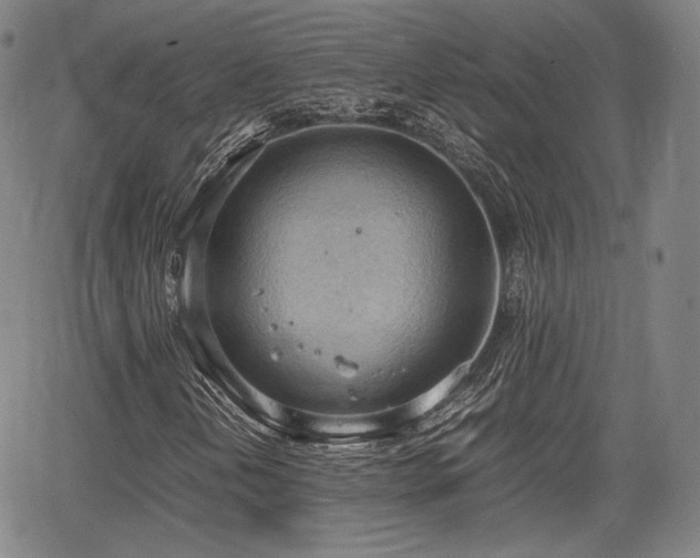 X0000064751202200602131218