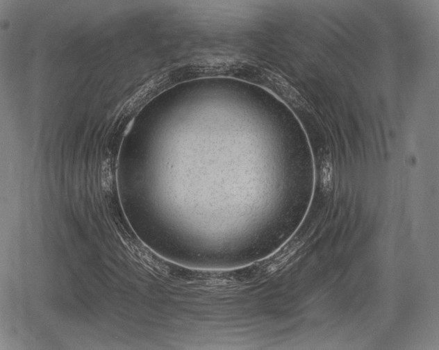 X0000064751204200602131218