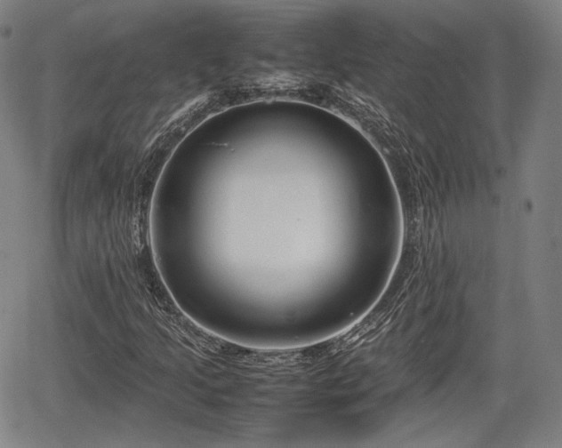 X0000064751205200602131218