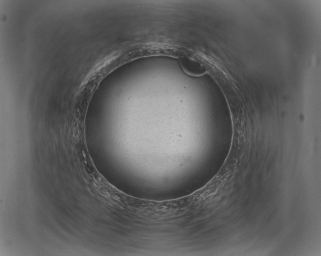 X0000064751207200602131218