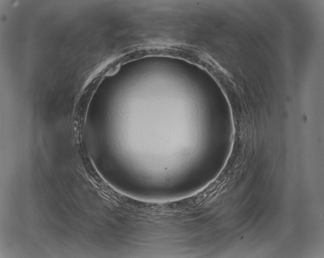 X0000064751208200602131218