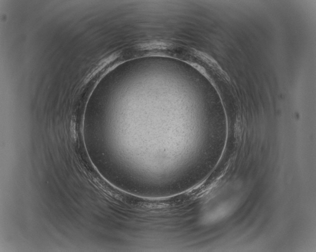 X0000064751209200602131218