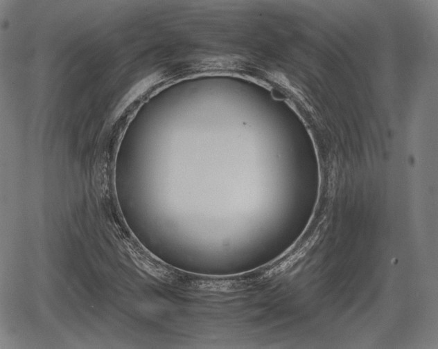 X0000064751211200602131218