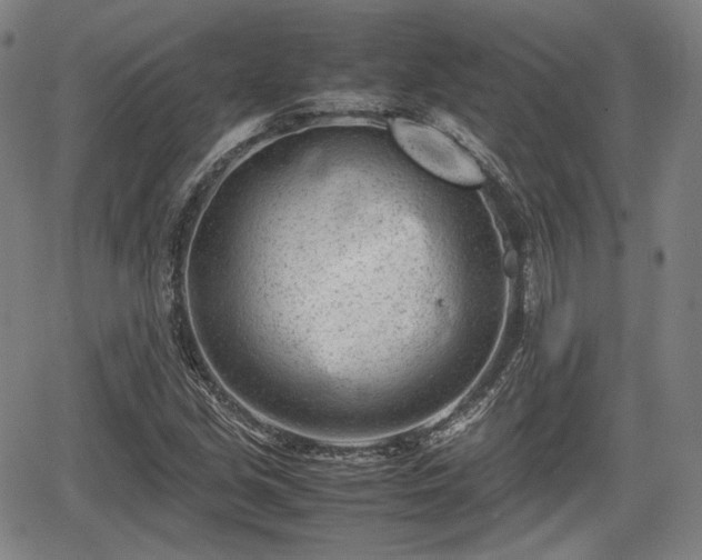 X0000064751213200602131218