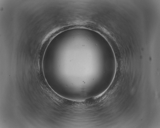 X0000064751214200602131218