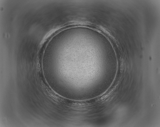 X0000064751215200602131218