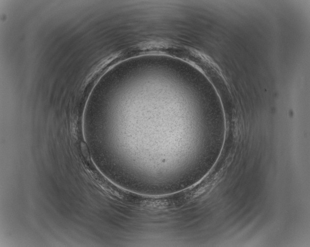 X0000064751217200602131218