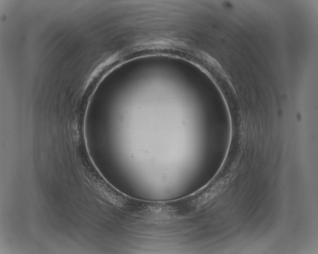 X0000064751218200602131218