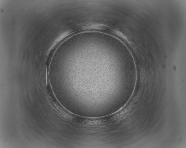 X0000064751219200602131218